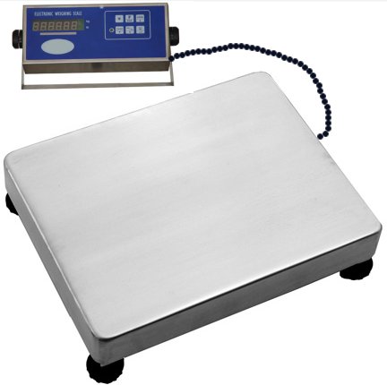 AmCells WWS Weighing Scale 500 lb.